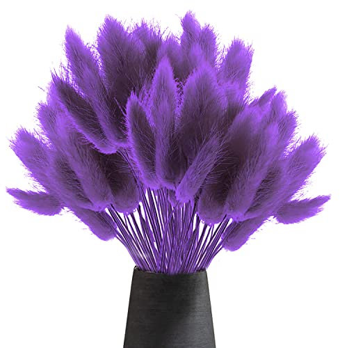 Sunshine smile 60Pcs Getrocknetes Pampasgras,Trockenblumen Bodenvase,Natürlich Pampasgras Blumenstrauß,Trockenblumen Blumenstrauß Deko,Künstlich Groß Trockenblumen,Trockenblumen Pampasgras