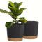 ADA 16cm Self Watering Pots Indoor, Plastic Flowers Pots for Indoor Outdoor Plants, Planters With Drainage Hole and Saucers, Planter for House Garden Plants, plant Pots (Pack of 2 Dark Grey)