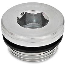 Ganter Normelemente GN 749-M16X1,5-A - Verschlussschrauben, Silber, Feingewinde d1: M16x1,5, 10 Stück