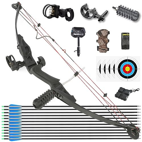 HNZMDY Bogenschießen Compound Bogen und Pfeil Set für Jugend und Erwachsene Anfänger 30 Lbs Rechtshänder Bogen mit Allem Zubehör 24,8 Draw Länge, 30 Lbs Draw Gewicht, IBO 130 FPS (Typ 2: Bogen Set)