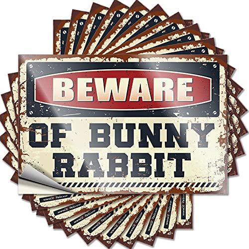 Unangemessene Aufkleber mit Aufschrift Beware of Bunny Hase, lustiger Aufkleber, 10 Stück, Aufkleber für Autos, Werkzeug (Größe: 6 x 9 cm)