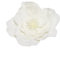 Amsixo Fascinator mit Blume, große Blumenhüte für Damen, großes Blumen-Stirnband, Kostüm, Kopfschmuck, Blume, Fascinator, Stirnband, große Blumen-Haarbänder