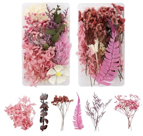GEFIRE 2 Stück Natürliche Getrocknete Blumen, Trockenblumen Set Trockenblumen zum Basteln Gepresste Blumen Klein für Kunst Basteln DIY Harz Scrapbooking Handwerk Karten Machen (Rose Rot)