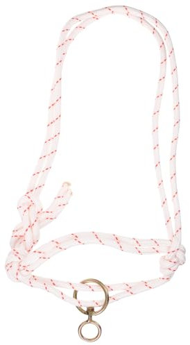 Kisangel 2St Bullenzaum Viehschützer Kuh Schlüsselband Rinderzaum Trainingshalfter Halfter für Kühe Trense Kopfstück einfach Lanyard Pala Ausrüstung die Zügel Eisen Weiß