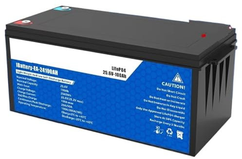 UAGFDFF Power Inverter Batteria LiFePO4 50AH 100AH ​​200AH 12V 24V BMS Ricaricabile al Litio per Auto da Campeggio Solare Invertitore di Tensione Fotovoltaico(24V 100AH)