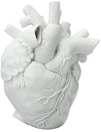 Teahutty Kreative anatomische Herzvase, 7,6 x 11,4 x 15,2 cm, KunstharzBlumentopf, SchreibtischOrnament, herzförmige Vasen, moderne Kunst, Herzskulptur, Vase für Bauernhaus, Wohnzimmer,