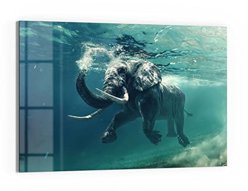 DEQORI Glasbild Echtglas | Motiv Schwimmender Elefant | horizontal einteilig 90x60 cm | schöne Dekoration | Wandbild für Wohnzimmer, Schlafzimmer, Flur & Küche | moderne Wanddeko