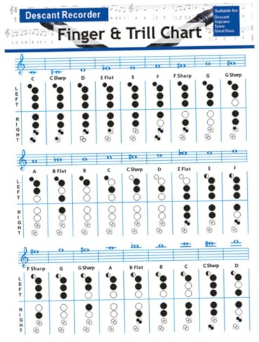 ULDIGI Bassblockflöten Akkordtabelle Aus Beschichtetem Papier Achtloch Präzisions Grifftabelle Für Flötenübungen Übungs Poster Für Anfänger Und Schüler