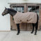 Kentucky Horsewear - Abschwitzdecke 4D Spacer - Beige - 155-6'9