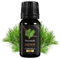 Aromaholik Kiefernöl BIO 100% naturrein – Ätherische Öle für Diffuser & Aroma Diffuser – Zertifiziertes ätherisches Öl aus Indien – Pine Essential Oils 10ml für Sauna & Massage