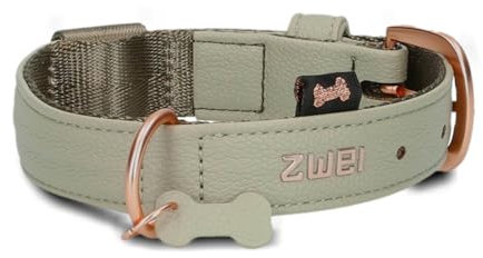 ZWEI Hundehalsband Leo LE10 aus hochwertigem Kunstleder, Elegantes Halsband verstellbar für kleine & mittelgroße Hunde mit Halsumfang von 28-38 cm, viele Farben