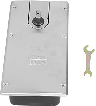 RASTKY Ferme-Porte à Ressort en Acier Inoxydable, 2 Voies, Ressort de Sol Ouvert, Tampon Hydraulique, Charnière de Sol, Charnière de Porte en Verre, Ferme-Porte, Poids 110 Kg, Commercial Robuste