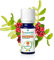 Puressentiel - Huile Essentielle Lentisque Pistachier - 100 pourcent Pure et Naturelle - HEBBD - 5 ml