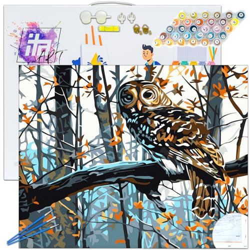 ITA Art Malen nach Zahlen Komplett Set mit Keilrahmen, Acrylfarben, Pinseln, Zubehör, Geschenkbox - DIY Gemälde Bastelset Kit mit Leinwand für Erwachsene, 30x40 cm, Weise Eule