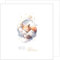 Edition Seidel Premium quadratische Glückwunschkarte zur Geburt mit Umschlag. Karte Grußkarte Babykarte Billet Hello Baby Kind Junge Mädchen Fuchs Wolke Mond (EQ110 SW024)