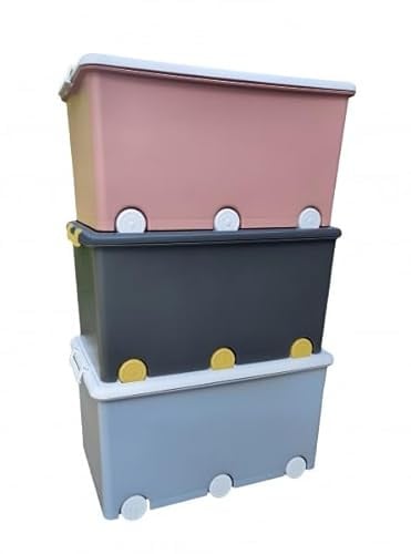 BDW Aufbewahrungsbox mit Deckel SET - Kiste für Kinderzimmer, Kindergarderobe, Sortierbox - Spielzeug Aufbewahrung, Spielzeugkisten, Boxen 60 L - 57 x 36 x 29 cm - Kunststoff - Set nr 4