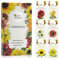 Kit de graines de Tournesol: Graines de Tournesol de qualité supérieure avec 6 variétés de Belles graines de Fleur d'extérieur - Set de Jardinage graines de Fleurs Tournesol par OwnGrown