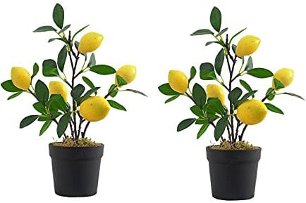 EESLL Künstlicher Zitronenbaum-Formschnitt, 2 Stück, 11,8 / 17,8 cm, Mini-Topfpflanzen, Obstbaum im Topf für Heimdekoration