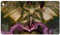 Ultra Pro MTG Spielmatte Commander Masters, Version:Black