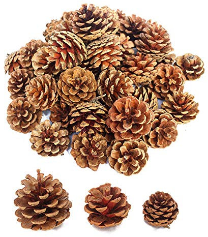 Lifreer 30 Pieces Natural Dried Pine Cones Christmas Ornaments PineCones for Christmas Tree Party Hanging Decoration DIY Crafts- Brown, 3 Sizes