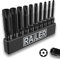 Railer Tamper Proof TORX Bit Set - Premium S2 Steel 6 Point Security Screwdriver Bit Set with a Bitrail - Precision CNC Machined 10PC 2 Star Bits Set (T8, T9, T10, T15, T20, T25, T27, T30, T40, T45)