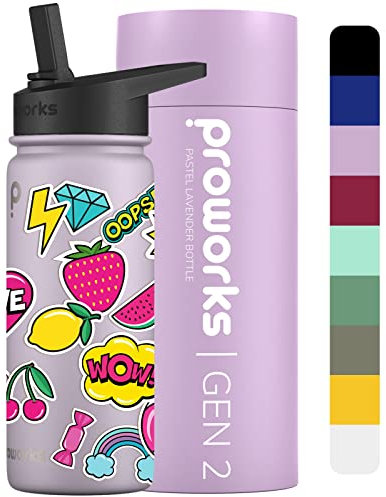 PROWORKS Gen 2 Gourde Isotherme Paille 540ml Bouteille Isotherme pour Boissons Froides Pendant 24 Heures et Chaudes Pendant 12 Heures Gourde INOX étanche pour Lavande Pastel Estivale Ambiance