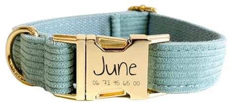 Collier Chien Personnalisé Velours Côtelé (S, Bleu Ciel)