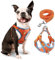 rennaio Hundegeschirr Kein Ziehen, Verstellbares Welpengeschirr mit 2 Leinenclips, Reflektierendes Hundegeschirr und Leine Set für kleine und mittelgroße Hunde (Orange, M)