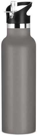 Borraccia per bambini con cannuccia, per la scuola, 590 ml, in acciaio inox, per viaggi o scuola, grigio ferro