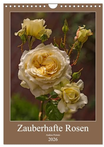 Zauberhafte Rosen (Wandkalender 2026 DIN A4 hoch), CALVENDO Monatskalender: Mit Rosen durchs Jahr. (CALVENDO Natur)