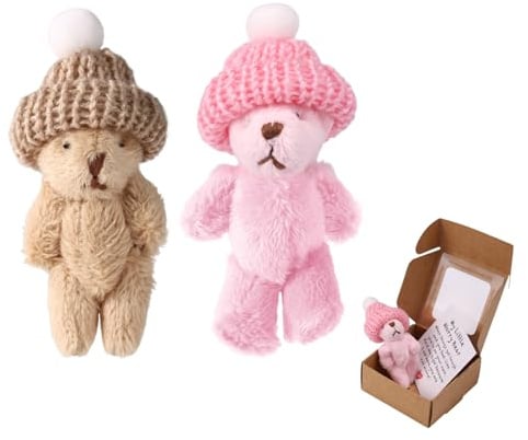 TOYMIS 2 Sets Kleiner Bär in Schachtel mit Hut, Entzückende Mini Plüschbär mit Aufmunternder Karte Süße Inspirierende Puppe für Büro Schlafzimmer Taschen und Party (Khaki und Rosa)