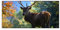 banjado Magnettafel schwarz 78 x 37cm / Magnetwand Metall/Magnetpinnwand als Memoboard/Pinnwand Magnettafel Küche, Büro, Kinderzimmer inkl. 4 Magnete & Montageset - Motiv Hirsch