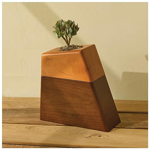 Urna de Madera para Cenizas humanas Adultas, cremación, urna de Madera Aspen Studio