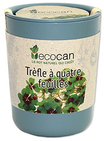 Feel Green Ecocan, Trèfle À Quatre Feuilles, Idée Cadeau (100% Biodégradable), Grow-Your-Own/Kit Prêt-à-Pousser, Le Pot Écologique Qui Croît 9 x 7 cm, Produit en Autriche