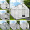BRAST® Gewächshaus Aluminium mit Fundament | 40 Modelle | 130x190x195cm - 490x250x235cm | TÜV geprüft | 6mm Hohlkammerplatten | rostfrei wetterfest temperaturbeständig | 250x190x195cm Grau