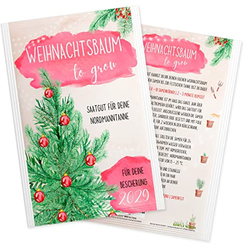 Nordmanntanne zum Pflanzen - Weihnachtsbaum Samen für dein Christbaum 2029 - Tannensamen als Adventskalender Füllung, Kleinigkeit zu Weihnachten oder Wichtelgeschenk für Frauen und Männer