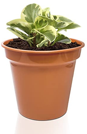 Plastic Plant Pot with Drainage Hole,17.5CM/7 Nursery Plant Pots, Terracotta Pots, Flower Pots for Indoor & Outdoor | Ideal for Cultivation, Terracotta