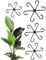 4 Stück Pflanzenstütze Staudenhalter, Pflanzenstielhalter, Pflanzstützgreifer,Garten-Stützklammern für Alocasia und Monstera, für Topfpflanzen Pfingstrosen Hortensien Gemüse