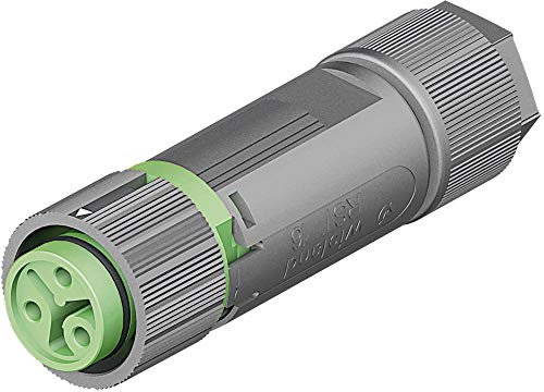 Wieland 46.031.4555.7 Rundstecker Kupplung, gerade Serie (Rundsteckverbinder): RST® Mini Gesamtpolzahl: 2 + PE 1 St.