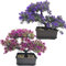Fycooler Bonsai Artificial Decoración de Plantas Falsas Plantas Artificiales en macetas Plantas de Bonsai de Pino japonés- árbol de Bonsai para la decoración del hogar Pantalla de Escritorio- 2 Set