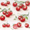 Servietten Essen und Trinken 20 Rote Tomaten | Gemüse Garten Küche gesund Tischdeko Fest Feier basteln Decoupage Serviettentechnik 33x33cm