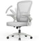 naspaluro Chaise de Bureau avec Accoudoir Relevable, Fauteuil de Bureau en Maille Respirante avec Soutien Lombaire, Dossier Inclinable et Hauteur, Roulette Pivotant à 360°, Gris