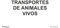 Normaluz RD26665 - Señal Adhesiva Transportes De Animales Vivos Adhesivo de Vinilo 10x15 cm con CTE, RIPCI
