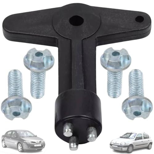 Twowinds - Chiave Coprimozzo Antifurto 7700422600 Compatibile con Renault Clio Espace Kangoo Megane, Opel - Chiave per Estrarre Viti di Sicurezza - Chiave di Sicurezza - Vite (set di 5 pezzi)