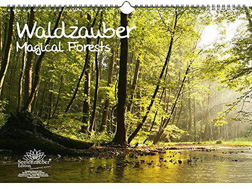 Waldzauber DIN A3 Kalender - Immerwährender Kalender Wald - Seelenzauber