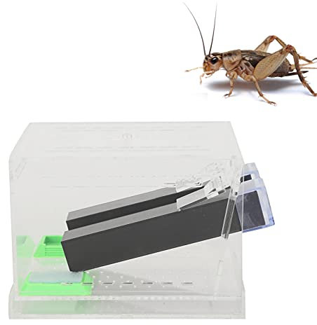 Asixxsix Reptilienfütterungsbox, Acryl Transparent Portable Cricket Keeper mit Kotschicht und Rohr, Abnehmbarer Deckel Tierlebensraum Käfig für Spinne Skorpion Gecko Schildkröte (L)