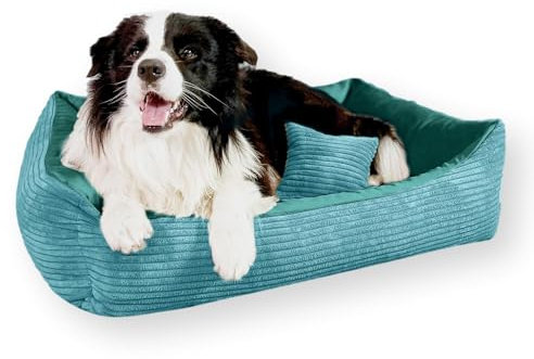 4L Textil Molly Kuscheliges Cord Hundebett mittelgroße Hunde Hundekorb aus Cord Hundekörbchen mittelgroße Hunde Hundesofa Türkis (80x60 cm, Türkis)