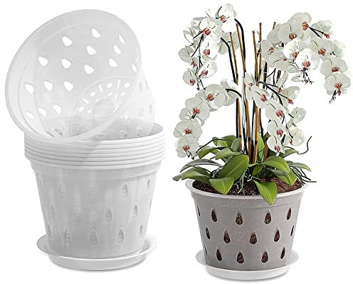 URPIZY Macetas transparentes para orquídeas, macetas de plástico para orquídeas con agujeros, macetas de 5 pulgadas con drenajes, macetas ranuradas transpirables para plantas de orquídeas, trasplante