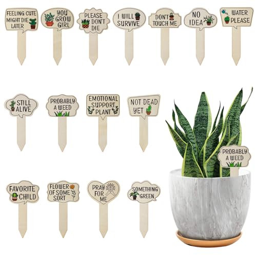 15 pz Etichette per Piante da Giardino, Etichette Piante Legno Divertenti Segni Piante con Paletto, Parole e Modelli Carini Etichette Etichette Giardino per Forniture per Esterni Interni