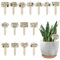 15 pz Etichette per Piante da Giardino, Etichette Piante Legno Divertenti Segni Piante con Paletto, Parole e Modelli Carini Etichette Etichette Giardino per Forniture per Esterni Interni